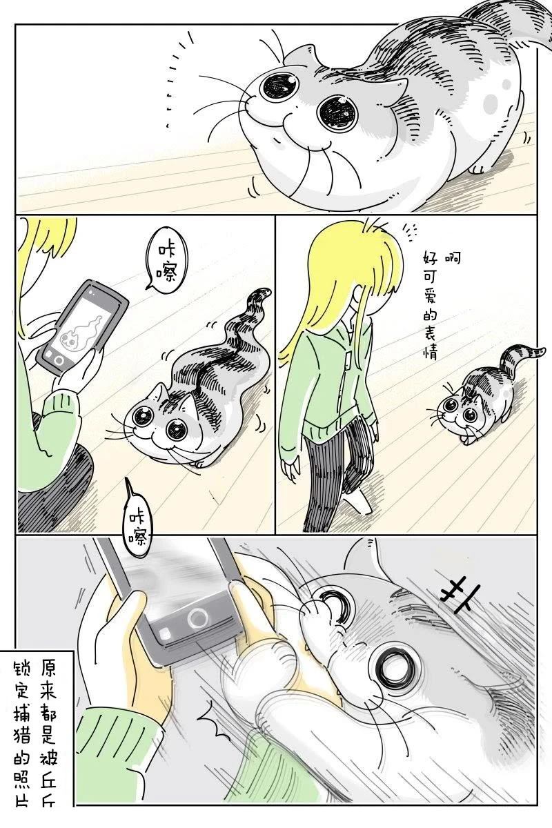 第239话3