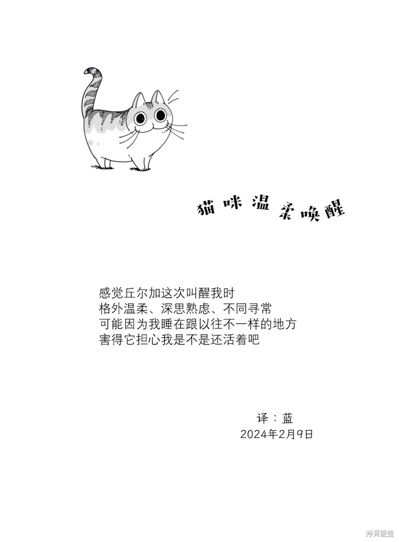 第204话3