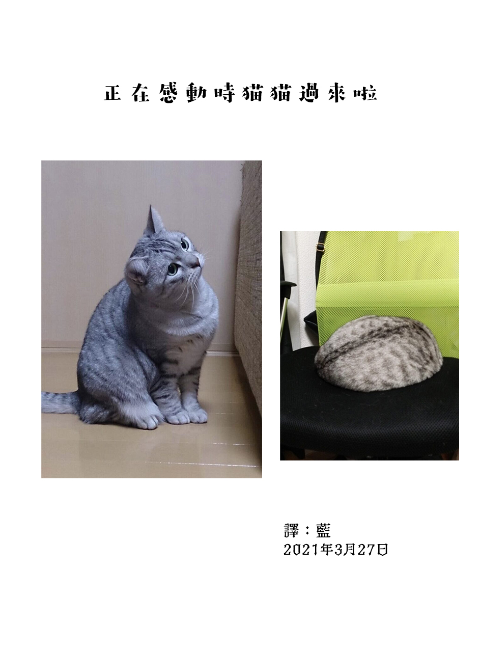 第54话3