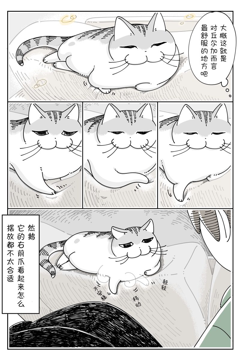 第104话1