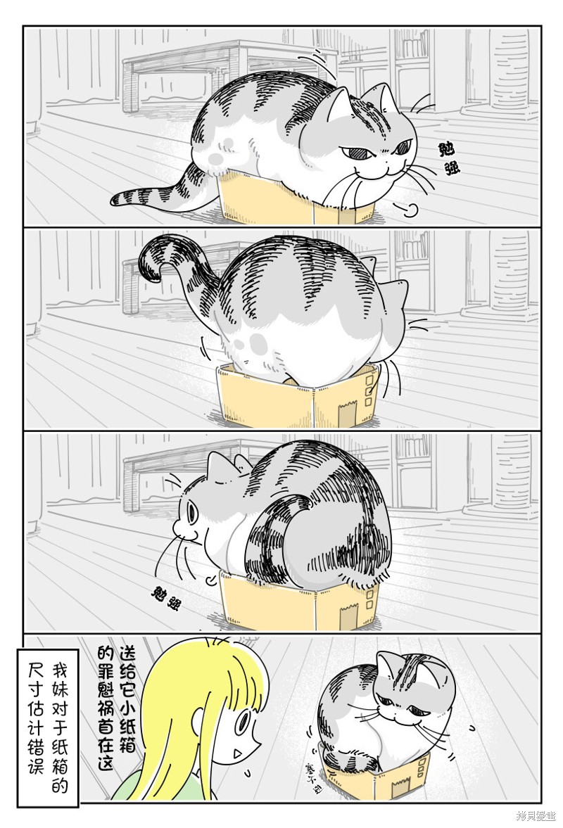 第188话2