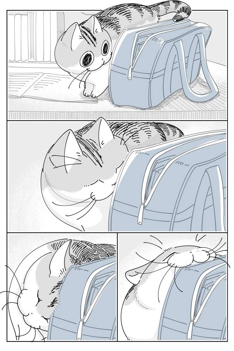 第238话0