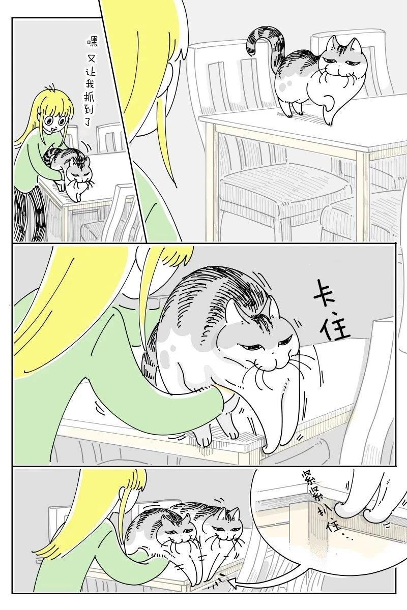 第258话1
