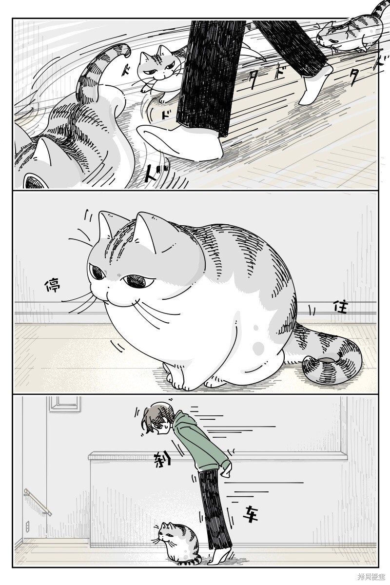 第194话1