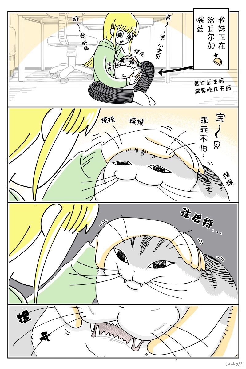 第211话0