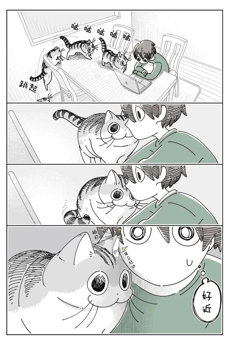 第241话0