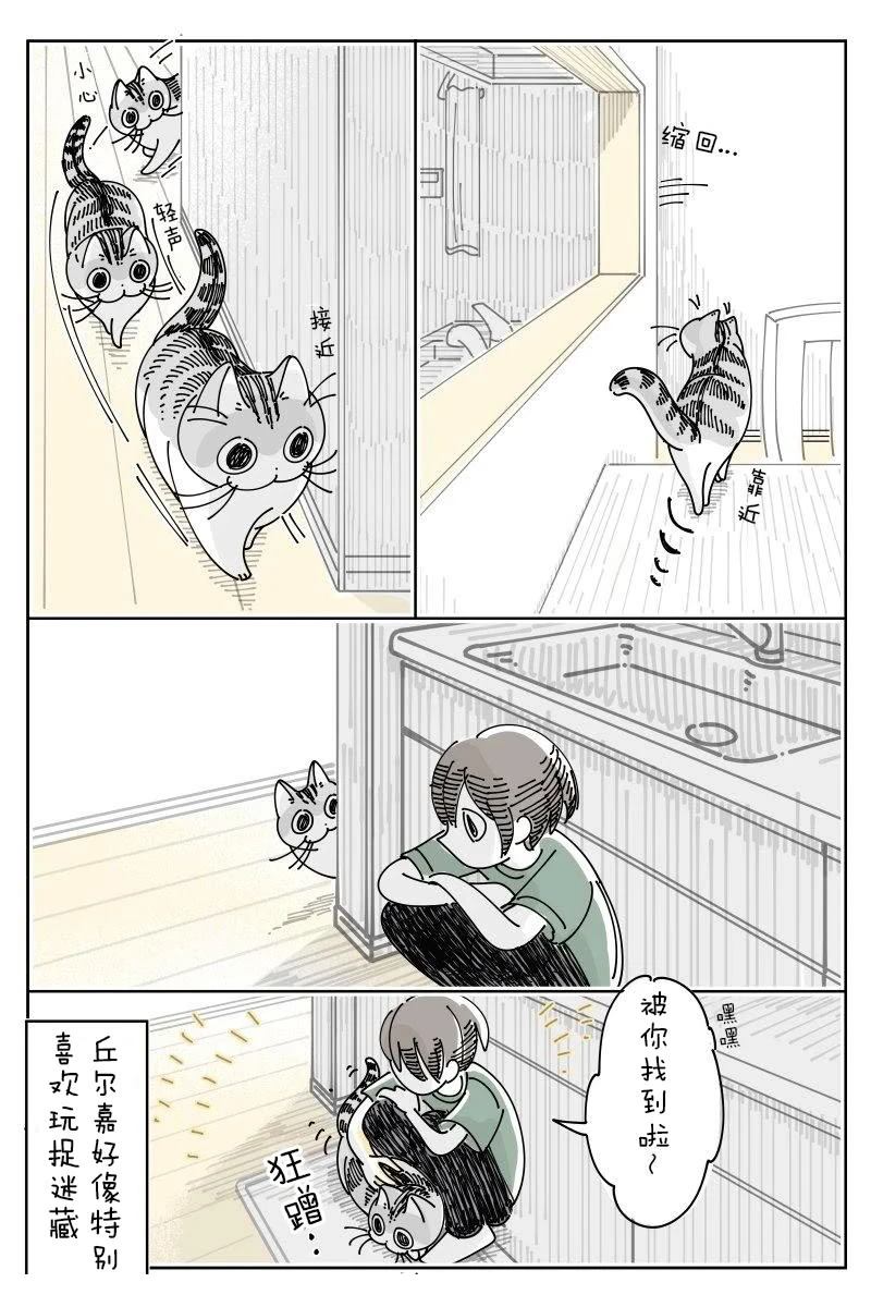第230话3