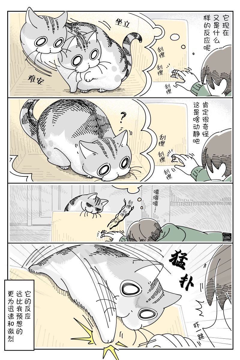 第100话1