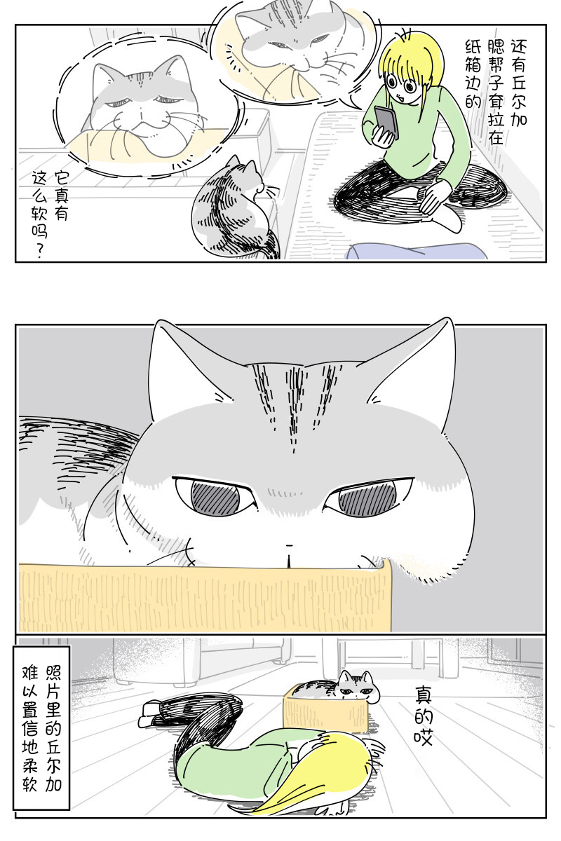 第167话2