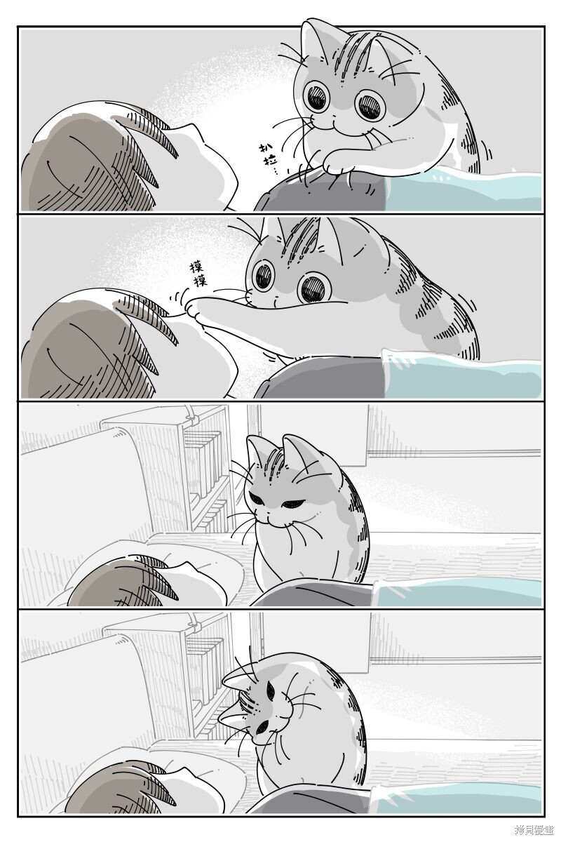 第214话1