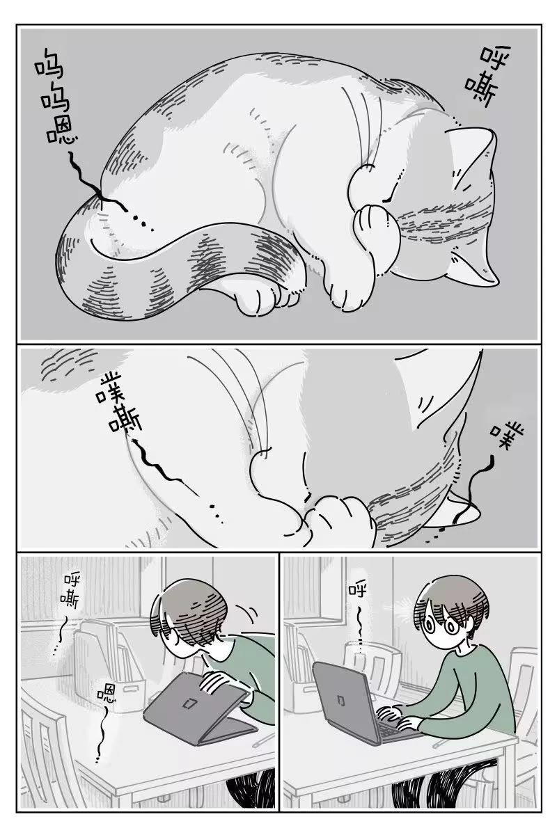 第264话1