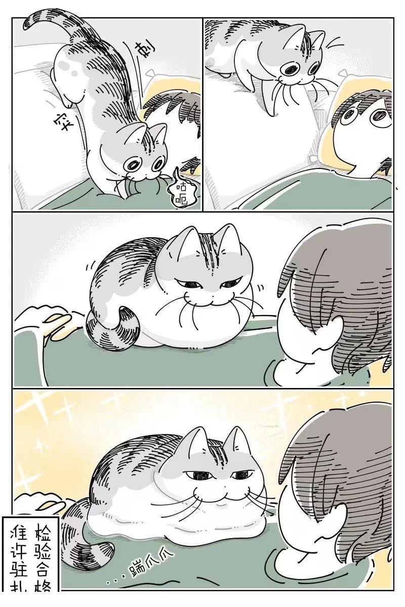 第264话3