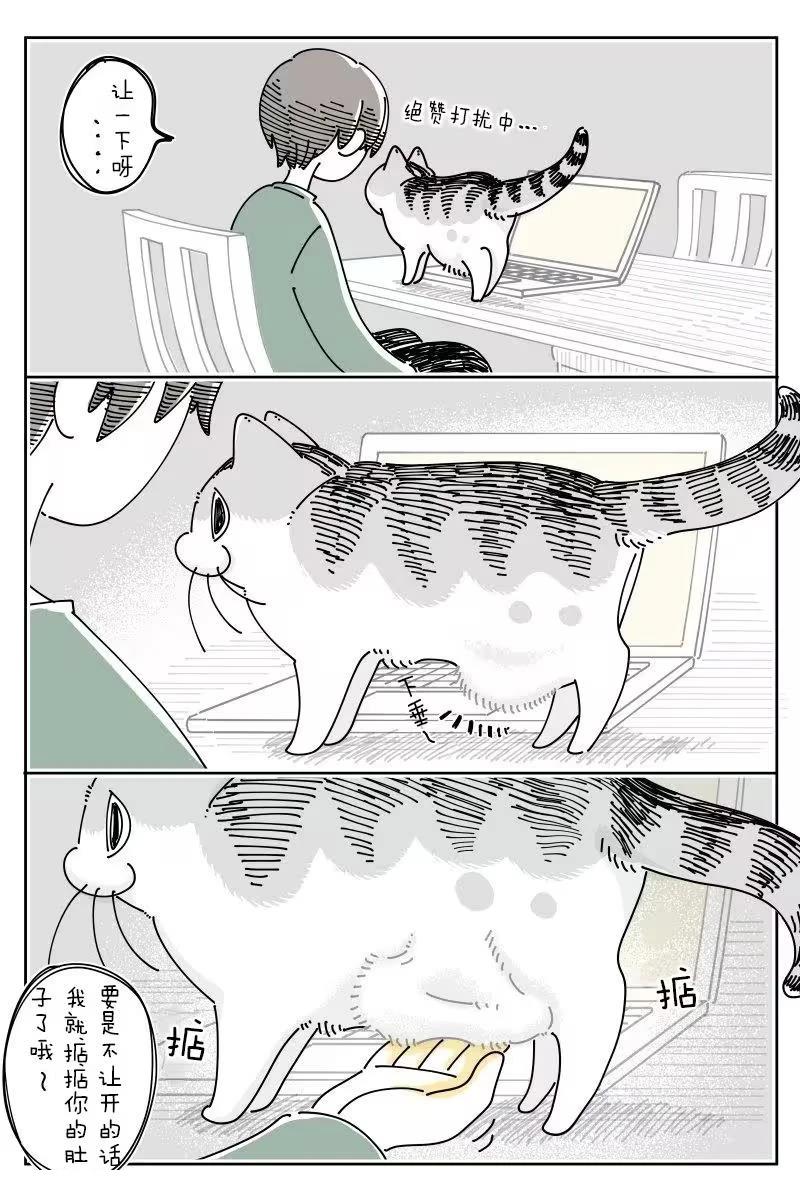 第261话0