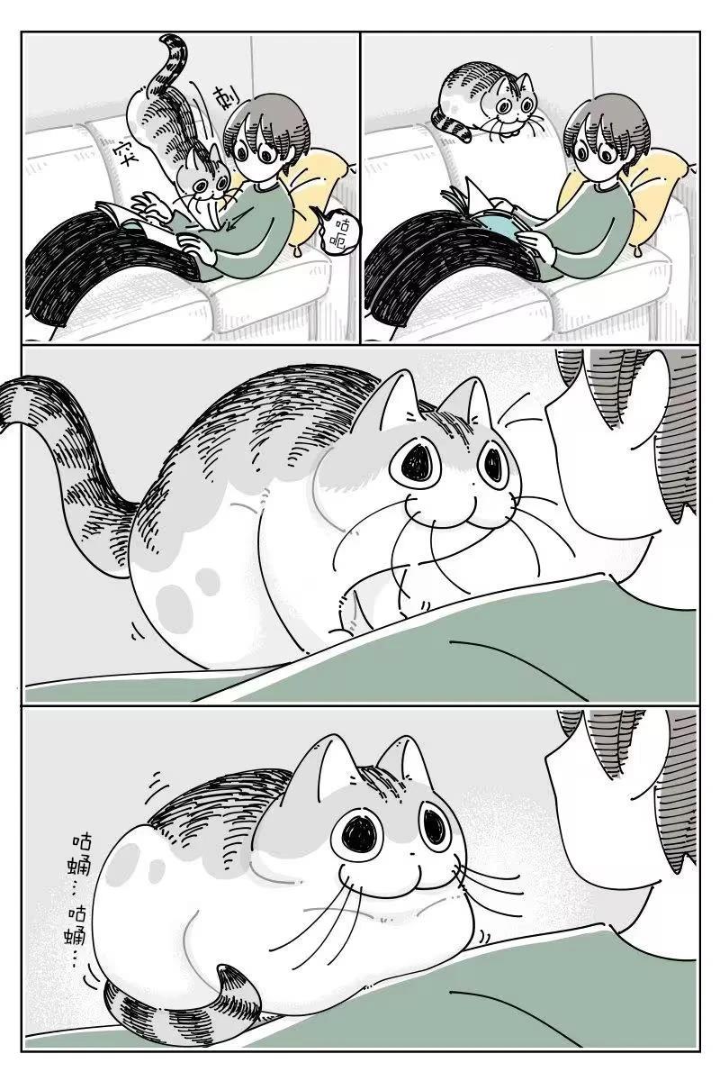 第264话0