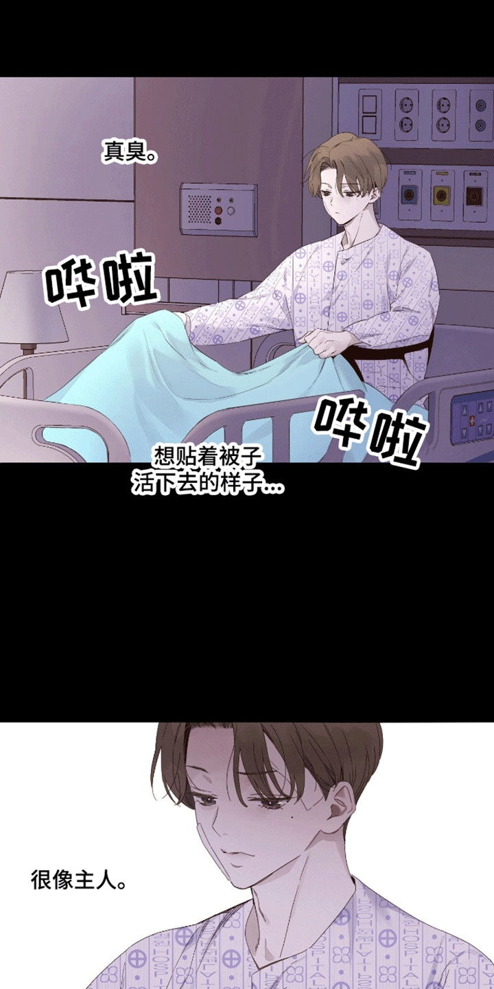 第187话7