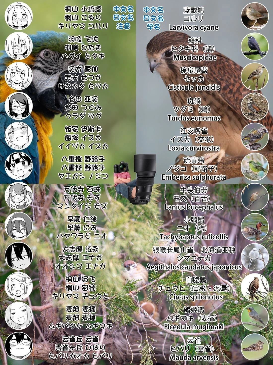 08卷加笔8