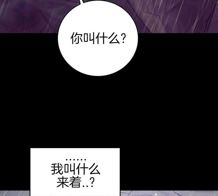 第179话46