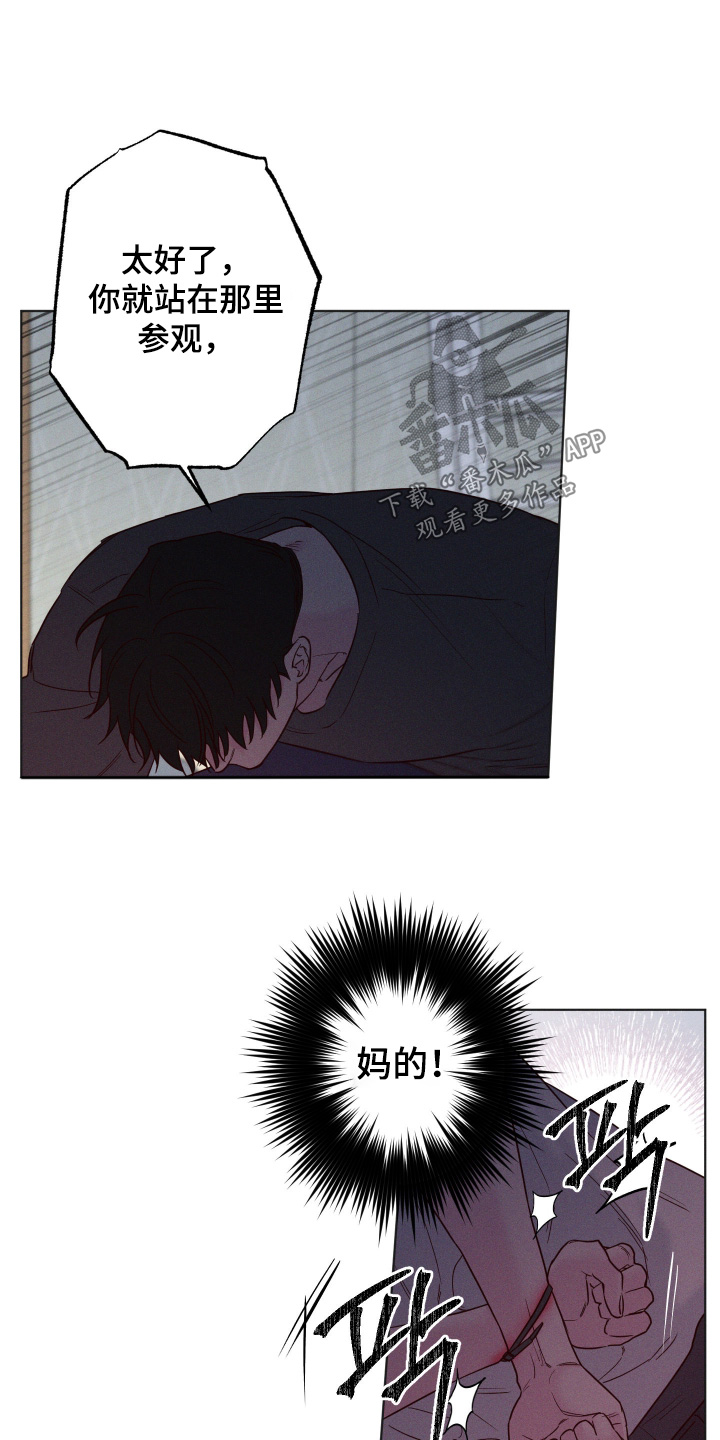 第110话6