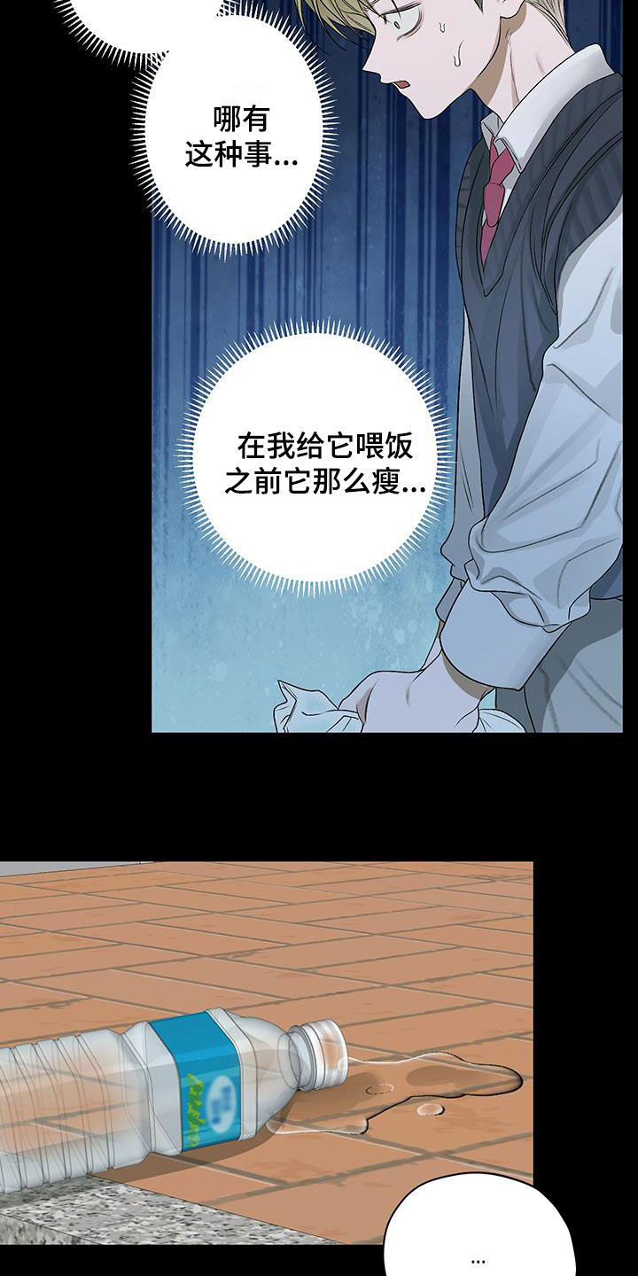 第51话8