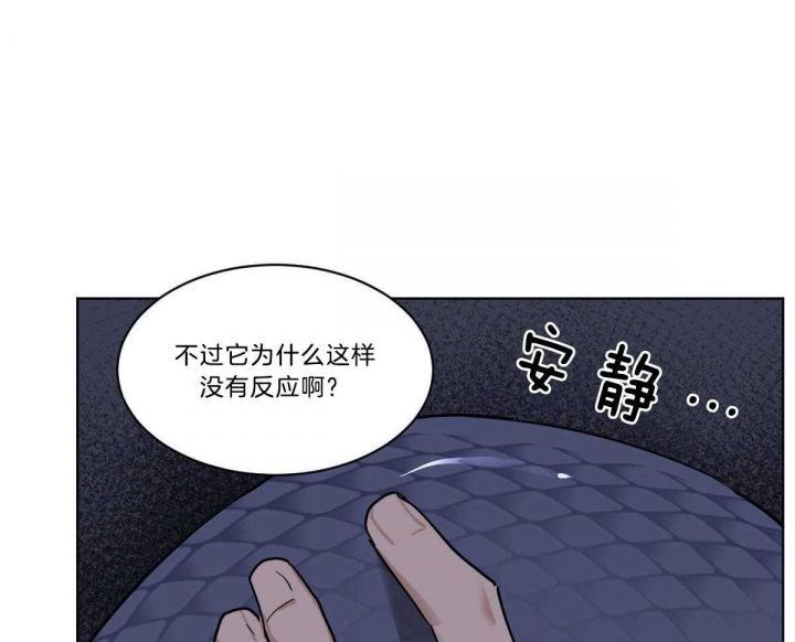 第50话13