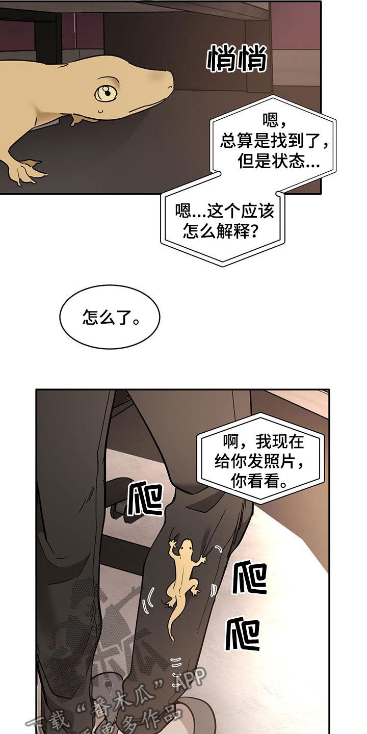 第191话17