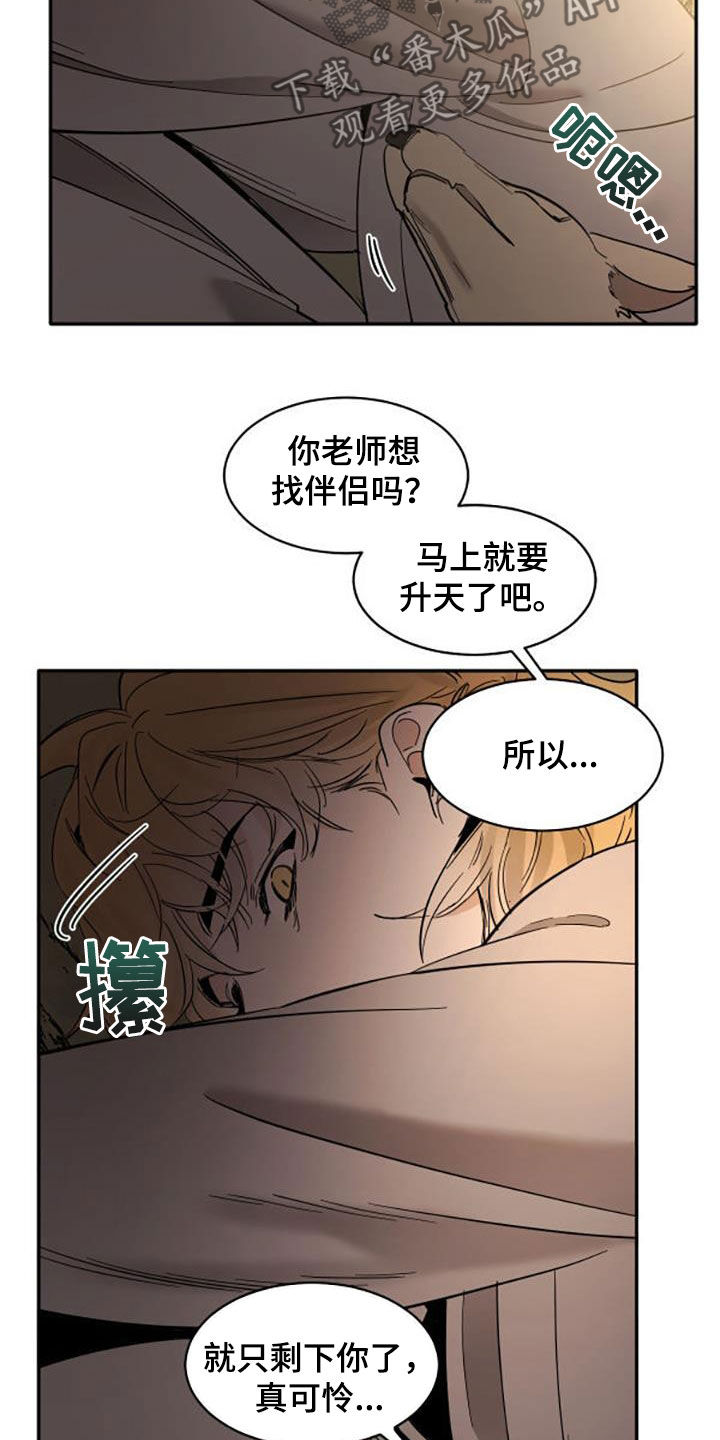 第195话17