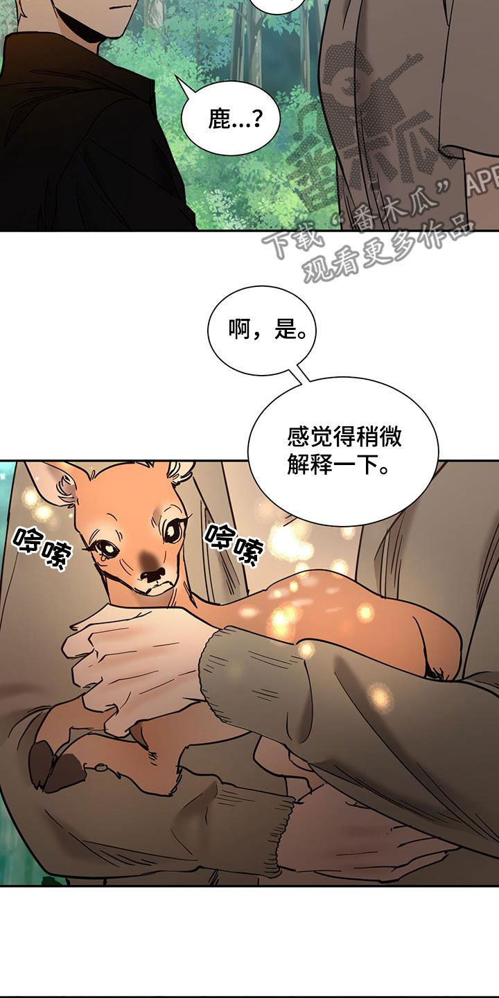 第215话8