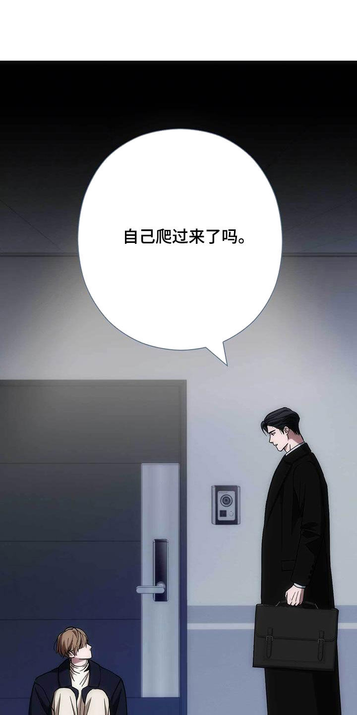 第51话5